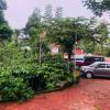 swapna estate stay coorg
