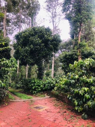 swapna estate stay coorg