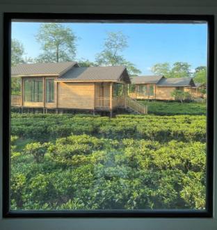 the postcard in the durrung tea estate