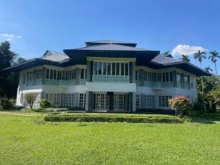 the postcard in the durrung tea estate