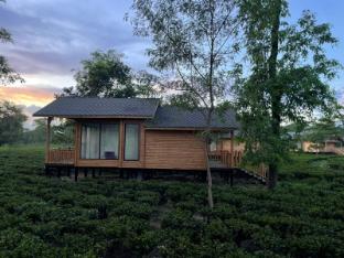 the postcard in the durrung tea estate