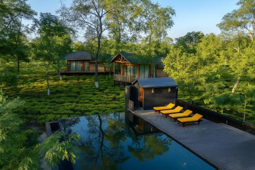 the postcard in the durrung tea estate