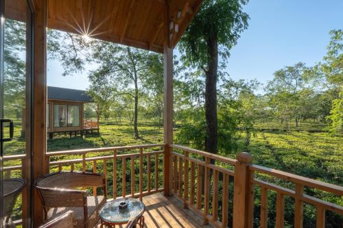 the postcard in the durrung tea estate