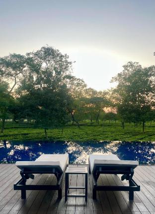 the postcard in the durrung tea estate