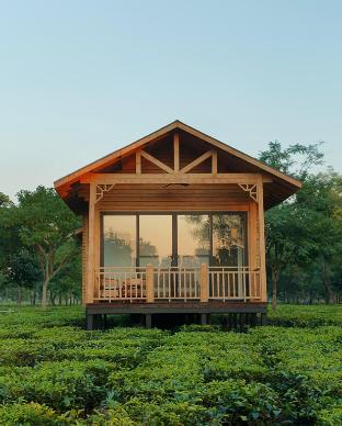the postcard in the durrung tea estate
