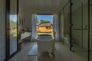 the postcard in the durrung tea estate