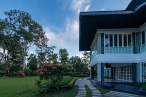 the postcard in the durrung tea estate