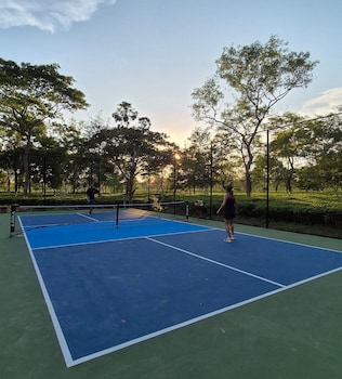 the postcard in the durrung tea estate