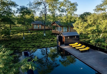 the postcard in the durrung tea estate