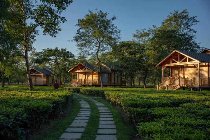 the postcard in the durrung tea estate