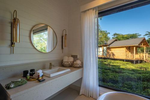 the postcard in the durrung tea estate