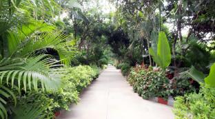 vanam resort