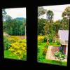 bamboo suite at merlys fruit garden