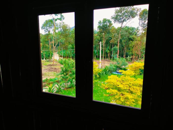 erumaadam bamboo suite merlys fruit garden