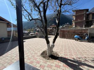 Ap Pines Cottage 4Bhk Mountain View By Homeyhuts,,3 star