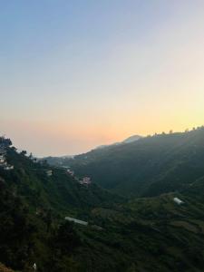 hillside heaven homestay