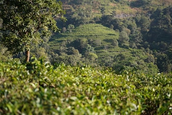 the autumn by maat hotels