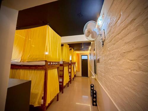 friends by alizeh bhagsunag mcleodganj