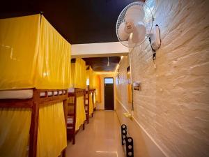 friends by alizeh bhagsunag mcleodganj