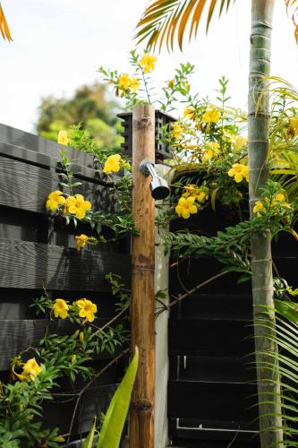 la belle vie boutique hotel adults only