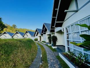 zero degree jungle resort