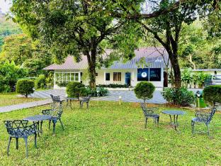 zero degree jungle resort