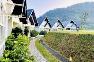 zero degree jungle resort