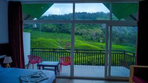 zero degree jungle resort