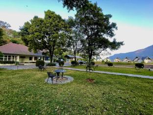 zero degree jungle resort