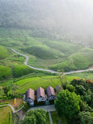 zero degree jungle resort