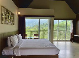 zero degree jungle resort