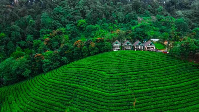 munnar