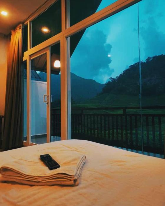 zero degree jungle resort