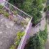 dimapur