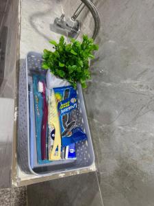 bliss paradise nearest to expo mart gr noida