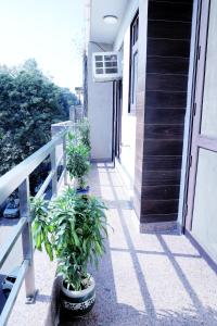fortune home service apartment 3bhk j 171 saket
