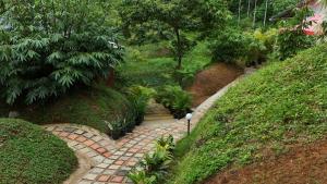 wayanad