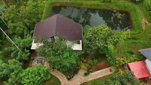 wayanad
