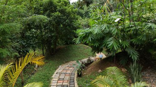 wayanad