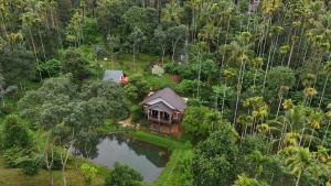 wayanad