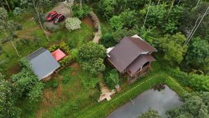 wayanad
