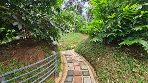 wayanad