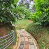 wayanad