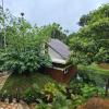 wayanad
