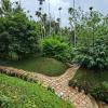 wayanad
