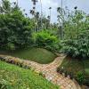wayanad