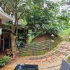 wayanad