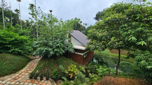 wayanad