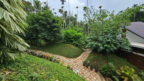 wayanad