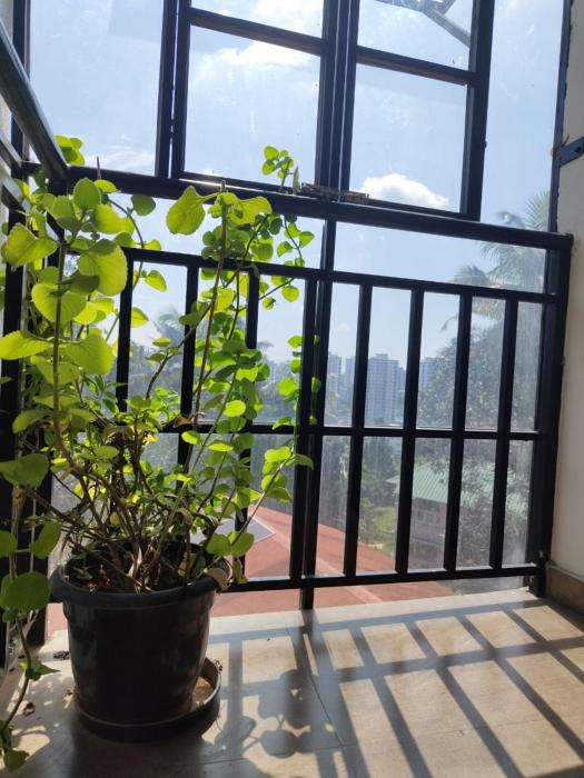 masterkey deluxe rooms